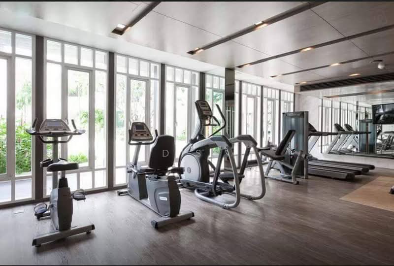 The Base Downtown, Phuket, Wichit Songkhram, Wichit, Muang Phuket, Phuket, 1 Bedroom, 34 sqm, Condo For Rent, by Diss, 500359012 - DDproperty.com