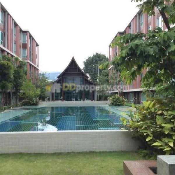 D Vieng Santitham, Chiang Mai, 66 Hussadhisawee Rd, Chang Phuak, Muang Chiang Mai, Chiang Mai, Studio, 30 sqm, Condo For Rent, by วุฒิภัทร มิ่งคำ, 500359028 - DDproperty.com