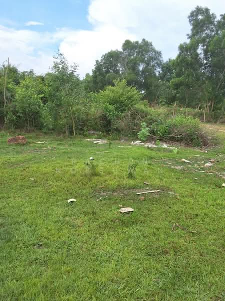 Cheap land for sale in Khuan Lang, Hat Yai, suitable for residential development. Area: 83.7 square, Songkhla, Khuan Lang, Hat Yai, Songkhla, , 336 sqm, Land For Sale, by Rachen Nopsuwan, 500359137 - DDproperty.com