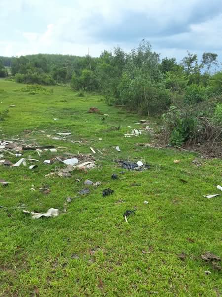 Cheap land for sale in Khuan Lang, Hat Yai, suitable for residential development. Area: 83.7 square, Songkhla, Khuan Lang, Hat Yai, Songkhla, , 336 sqm, Land For Sale, by Rachen Nopsuwan, 500359137 - DDproperty.com