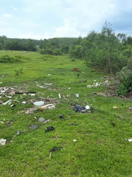Cheap land for sale in Khuan Lang, Hat Yai, suitable for residential development. Area: 83.7 square, Songkhla, Khuan Lang, Hat Yai, Songkhla, , 336 sqm, Land For Sale, by Rachen Nopsuwan, 500359137 - DDproperty.com
