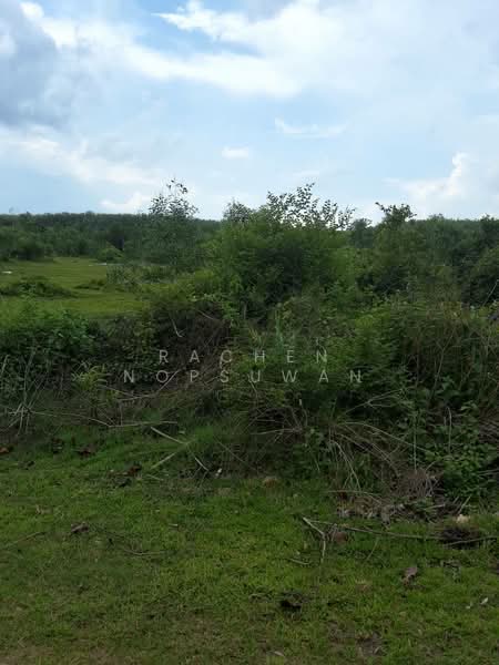 Cheap land for sale in Khuan Lang, Hat Yai, suitable for residential development. Area: 83.7 square, Songkhla, Khuan Lang, Hat Yai, Songkhla, , 336 sqm, Land For Sale, by Rachen Nopsuwan, 500359137 - DDproperty.com