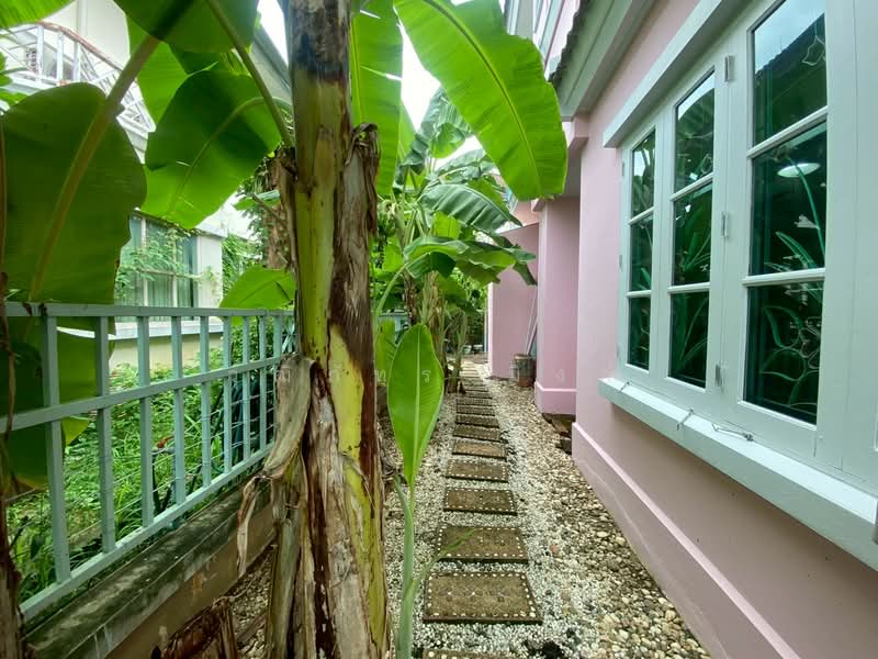 Sansai, Chiang Mai, Nong Chom, San Sai, Chiang Mai, 4 Bedrooms, 220 sqm, Single Detached House For Rent, by วุฒิภัทร มิ่งคำ, 500359145 - DDproperty.com