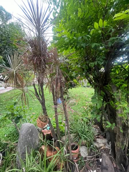 house for sell, Bangkok, Saphan Sung, Bangkok, 3 Bedrooms, 320 sqm, Single Detached House For Sale, by คุณอิน, 500359219 - DDproperty.com