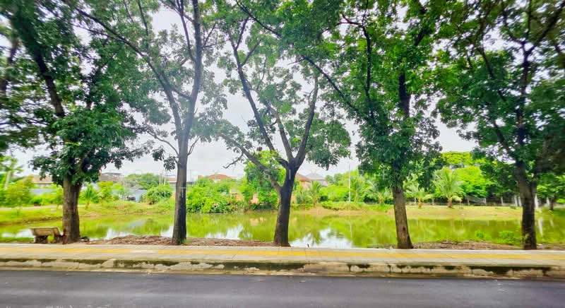 ให้เช่าที่ดิน ริมบึงน้ำ-ถนนอุโมงค์ต้นไม้ ย่านประชาชื่น, Bangkok, Chatuchak, Bangkok, , 1,056 sqm, Retail Space For Rent, by Forty-Six Real Estate Group, 500359338 - DDproperty.com