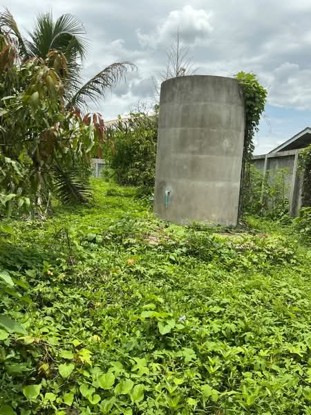 ที่ดินท่าเสา อุตรดิตถ์, Uttaradit, Tha Sao, Muang Uttaradit, Uttaradit, , 1,216 sqm, Land For Sale, by The Best Property นิด, 500359493 - DDproperty.com