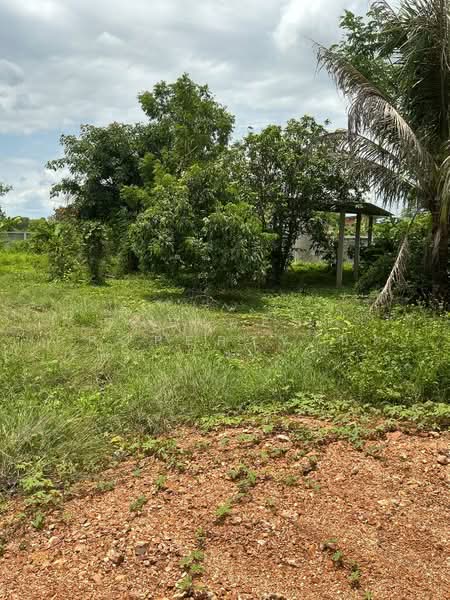 ที่ดินท่าเสา อุตรดิตถ์, Uttaradit, Tha Sao, Muang Uttaradit, Uttaradit, , 1,216 sqm, Land For Sale, by The Best Property นิด, 500359493 - DDproperty.com