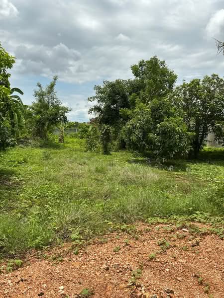 ที่ดินท่าเสา อุตรดิตถ์, Uttaradit, Tha Sao, Muang Uttaradit, Uttaradit, , 1,216 sqm, Land For Sale, by The Best Property นิด, 500359493 - DDproperty.com