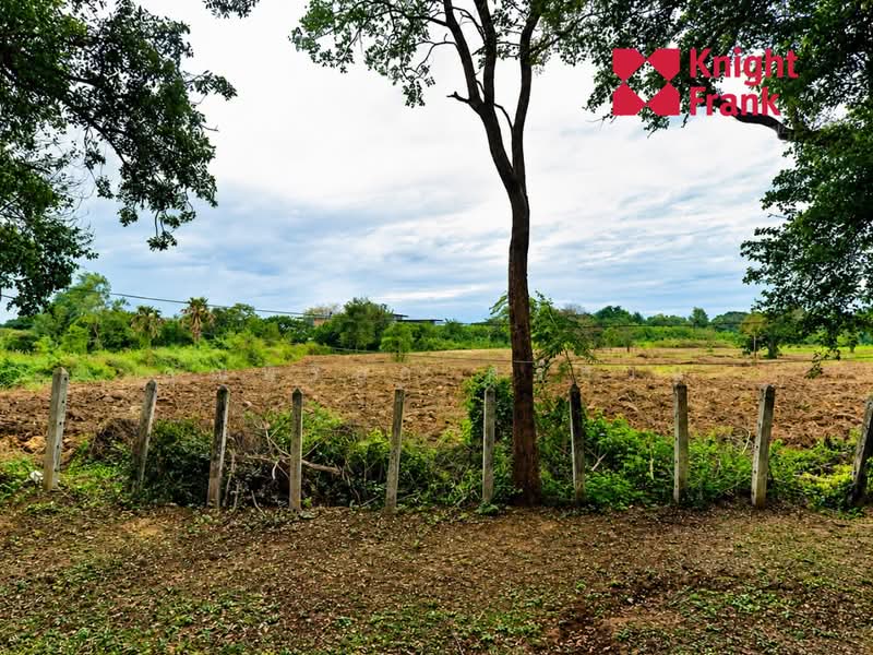 ถนนสระเพลง ตำบลในเมือง อำเภอพิมาย จังหวัดนครราชสีมา 30110, นครราชสีมา, สระเพลง, ในเมือง, พิมาย, นครราชสีมา, 40,872 ตร.ม., ที่ดิน ขาย, โดย คุณพิริยา ศรีส่วน, 500359513 - DDproperty.com