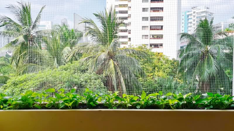 Prestige Towers, Bangkok, 168 Soi Sukhumvit 23, Khlongtoei Nua, Watthana, Bangkok, 2 Bedrooms, 174 sqm, Condo For Sale, by Nattapat Reunyota, 500359521 - DDproperty.com