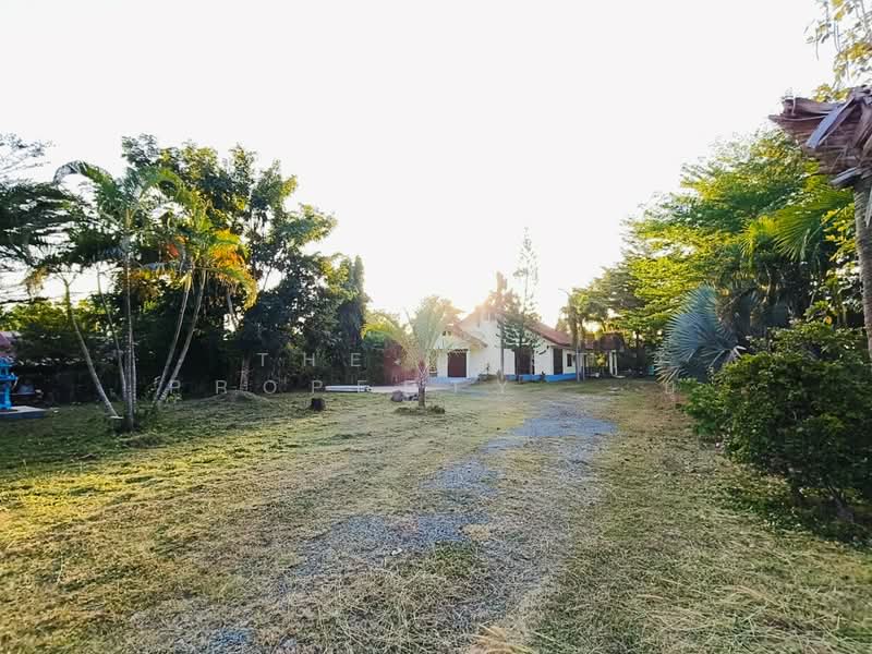 บ้านเดี่ยวปราสาท สุรินทร์, Surin, Ban Pluang, Phrasat, Surin, 3 Bedrooms, 150 sqm, Single Detached House For Sale, by The Best Property ยุ, 500359604 - DDproperty.com