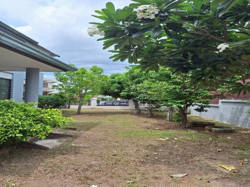 บ้านเดี่ยวให้เช่า ศรีราชา บางพระ, Chon Buri (Pattaya), Bang Phra, Si Racha, Chon Buri (Pattaya), 4 Bedrooms, 250 sqm, Single Detached House For Rent, by A.T.A. Property, 500359637 - DDproperty.com