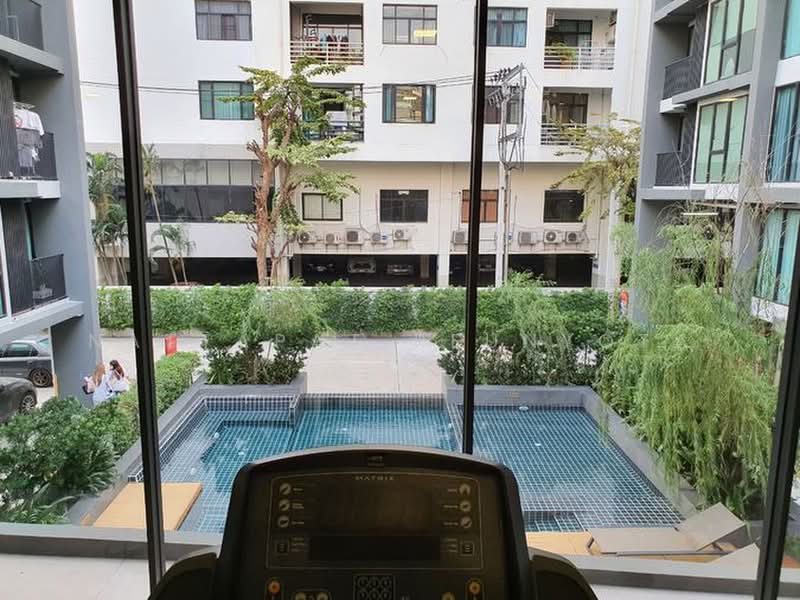 Serio Sukhumvit 50, Bangkok, Soi Sukhumvit 50, Phra Kanong, Khlong Toei, Bangkok, 1 Bedroom, 37 sqm, Condo For Sale, by Nattapat Reunyota, 500359657 - DDproperty.com