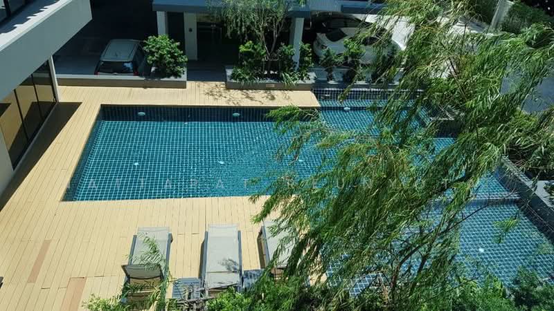 Serio Sukhumvit 50, Bangkok, Soi Sukhumvit 50, Phra Kanong, Khlong Toei, Bangkok, 1 Bedroom, 37 sqm, Condo For Sale, by Nattapat Reunyota, 500359657 - DDproperty.com