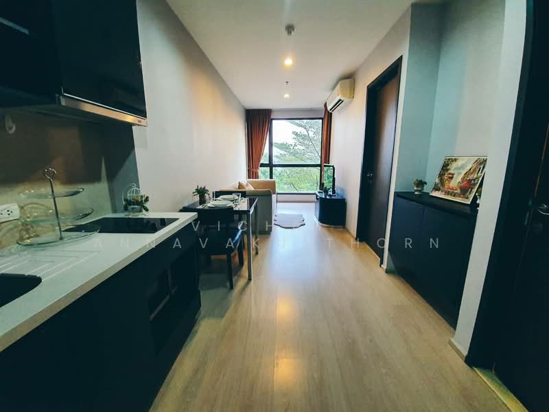 Rhythm Sukhumvit 44/1, Bangkok, Sukhumvit Road, Phra Kanong, Khlong Toei, Bangkok, 1 Bedroom, 35 sqm, Condo For Rent, by Vichai Annavakulthorn, 500359903 - DDproperty.com
