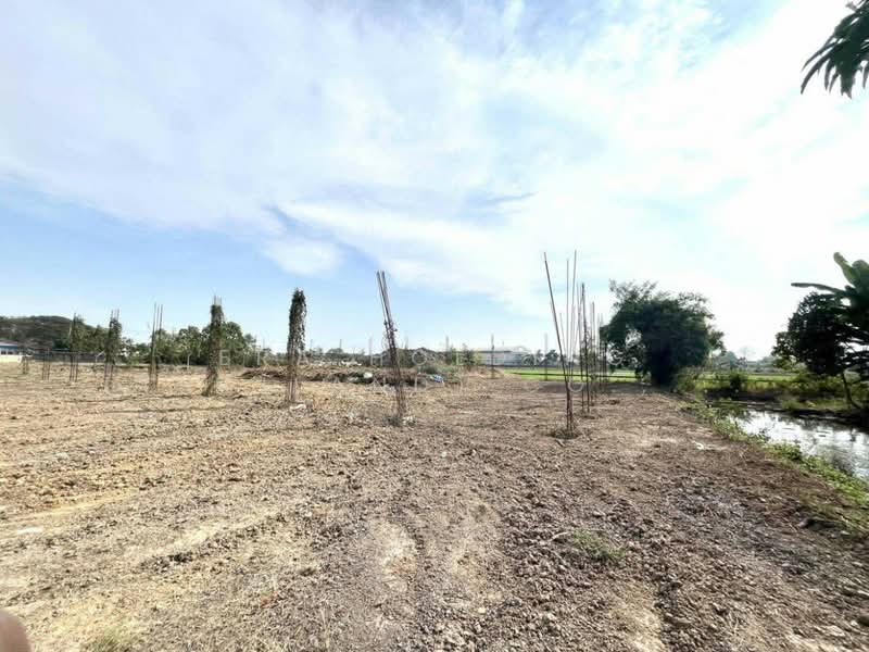 ขายที่ดิน 1 ไร่ ผังสีเขียว, นนทบุรี, ไทรน้อย, นนทบุรี, 1,600 ตร.ม., ที่ดิน ขาย, โดย ERA Holding (Thailand) Co., Ltd., 500359980 - DDproperty.com