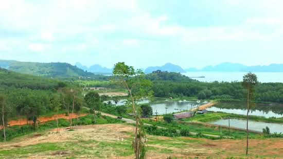 Prime 29-Rai Sea View Development Land Near Samet Nangshe | Resort & Hotel Investment Opportunity, Phangnga, Khlong Khian, Takua Thung, Phangnga, , 46,520 sqm, Land For Sale, by Runchana Ball, 500360056 - DDproperty.com