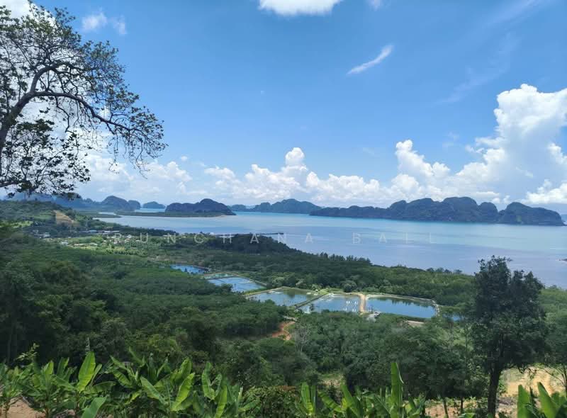 Prime 29-Rai Sea View Development Land Near Samet Nangshe | Resort & Hotel Investment Opportunity, Phangnga, Khlong Khian, Takua Thung, Phangnga, , 46,520 sqm, Land For Sale, by Runchana Ball, 500360056 - DDproperty.com
