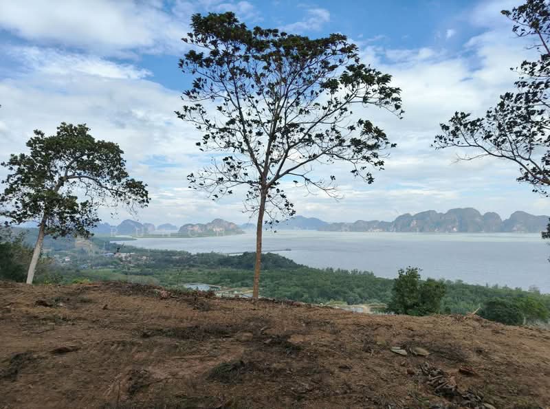 Prime 29-Rai Sea View Development Land Near Samet Nangshe | Resort & Hotel Investment Opportunity, Phangnga, Khlong Khian, Takua Thung, Phangnga, , 46,520 sqm, Land For Sale, by Runchana Ball, 500360056 - DDproperty.com