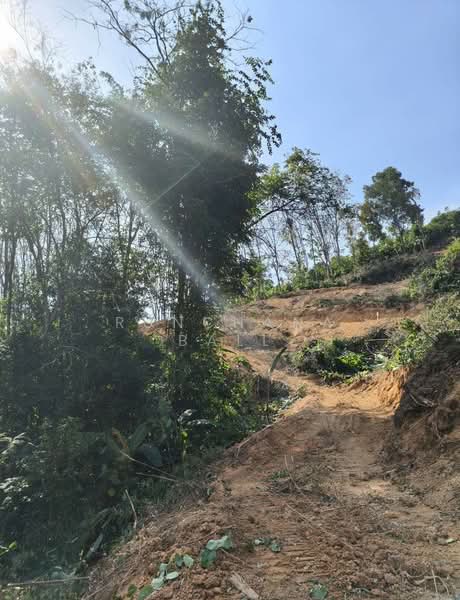 Prime 29-Rai Sea View Development Land Near Samet Nangshe | Resort & Hotel Investment Opportunity, Phangnga, Khlong Khian, Takua Thung, Phangnga, , 46,520 sqm, Land For Sale, by Runchana Ball, 500360056 - DDproperty.com