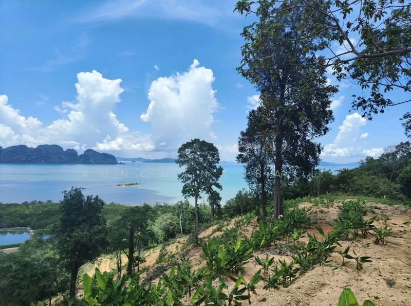 Prime 29-Rai Sea View Development Land Near Samet Nangshe | Resort & Hotel Investment Opportunity, Phangnga, Khlong Khian, Takua Thung, Phangnga, , 46,520 sqm, Land For Sale, by Runchana Ball, 500360056 - DDproperty.com
