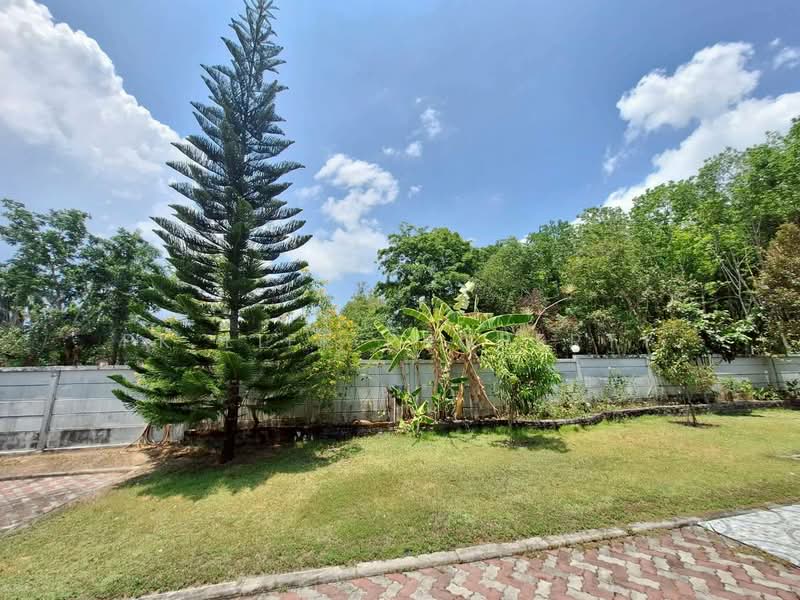 1R0182 Pool villa for rent 3 bedroom 3 bathroom 65,000/month near airport have fully furnished, Phuket, Mai Khao, Thalang, Phuket, 3 Bedrooms, 280 sqm, Villa For Rent, by PK LIFE Property, 500360104 - DDproperty.com