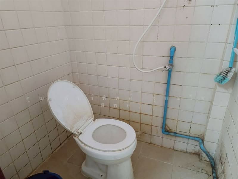 ห้องเช่า 2 ชั้น 99 ตร.ว. ห้องเช่า ใกล้ตลาดชายสยาม บางศรีเมือง ซอยบางศรีเมือง17, นนทบุรี, ถนนบางศรีเมือง, บางศรีเมือง, เมืองนนทบุรี, นนทบุรี, 400 ตร.ม., กิจการ ขาย, โดย คุณ พันธ์ทิพย์ จุสมใจ (ทิพย์), 500360199 - DDproperty.com
