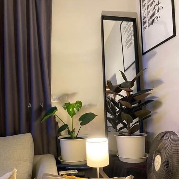 Rhythm Sukhumvit 36-38, Bangkok, 55 Soi Sukhumvit 36, Sukhumvit Road, Phra Kanong, Khlong Toei, Bangkok, 1 Bedroom, 34 sqm, Condo For Rent, by Vichai Annavakulthorn, 500360253 - DDproperty.com