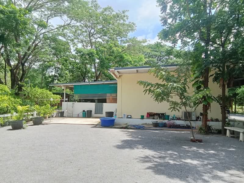 ที่ดินพร้อมสิ่งปลูกสร้างน้ำพุ ราชบุรี, ราชบุรี, น้ำพุ, เมืองราชบุรี, ราชบุรี, 8,440 ตร.ม., ที่ดิน ขาย, โดย The Best Property มุก, 500360326 - DDproperty.com
