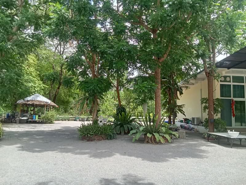 ที่ดินพร้อมสิ่งปลูกสร้างน้ำพุ ราชบุรี, Ratchaburi, Nam Phu, Muang Ratchaburi, Ratchaburi, , 8,440 sqm, Land For Sale, by The Best Property มุก, 500360326 - DDproperty.com