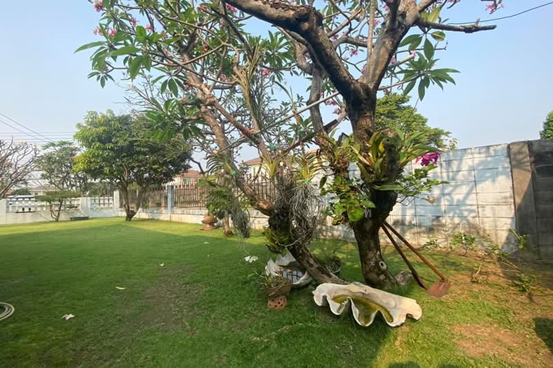 หมู่บ้านปัญญาอินทรา P7 (Panya Intra Phase 7), Bangkok, Bang Chun, Khlong Sam Wa, Bangkok, 5 Bedrooms, 350 sqm, Single Detached House For Sale, by ชนะชาติ นนท์ตา, 500360407 - DDproperty.com
