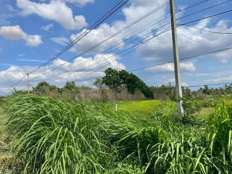 ที่ดินปักธงชัย นครราชสีมา, Nakhon Ratchasima, Thong Chai Nua, Pak Thong Chai, Nakhon Ratchasima, , 7,468 sqm, Land For Sale, by The Best Property ยุ, 500360474 - DDproperty.com