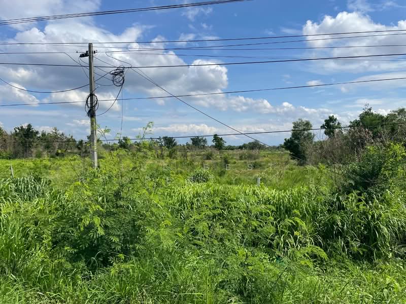 ที่ดินปักธงชัย นครราชสีมา, Nakhon Ratchasima, Thong Chai Nua, Pak Thong Chai, Nakhon Ratchasima, , 7,468 sqm, Land For Sale, by The Best Property ยุ, 500360474 - DDproperty.com