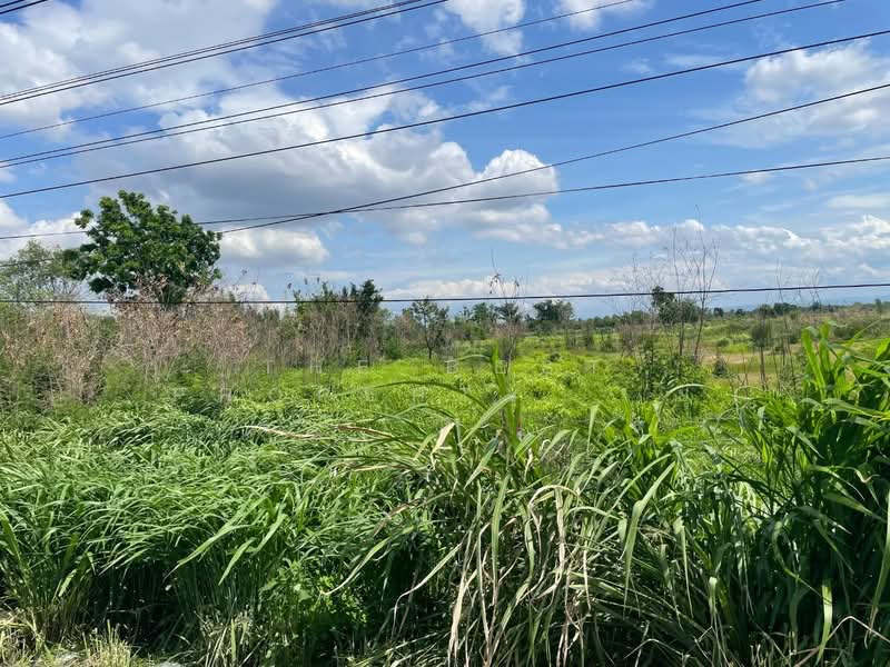ที่ดินปักธงชัย นครราชสีมา, Nakhon Ratchasima, Thong Chai Nua, Pak Thong Chai, Nakhon Ratchasima, , 7,468 sqm, Land For Sale, by The Best Property ยุ, 500360474 - DDproperty.com