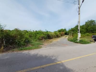 ขาย - ที่ดินลาดใหญ่ สมุทรสงคราม, สมุทรสงคราม