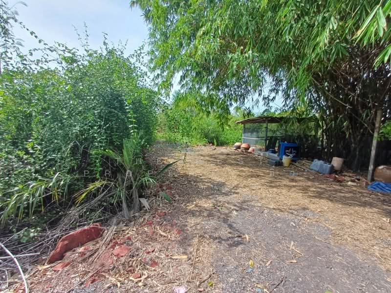 ที่ดินลาดใหญ่ สมุทรสงคราม, Samut Songkhram, Lat Yai, Muang Samut Songkhram, Samut Songkhram, , 3,200 sqm, Land For Sale, by The Best Property อิ๋ว, 500360862 - DDproperty.com