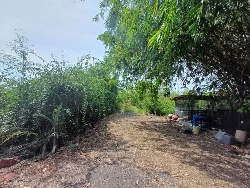 ที่ดินลาดใหญ่ สมุทรสงคราม, Samut Songkhram, Lat Yai, Muang Samut Songkhram, Samut Songkhram, , 3,200 sqm, Land For Sale, by The Best Property อิ๋ว, 500360862 - DDproperty.com