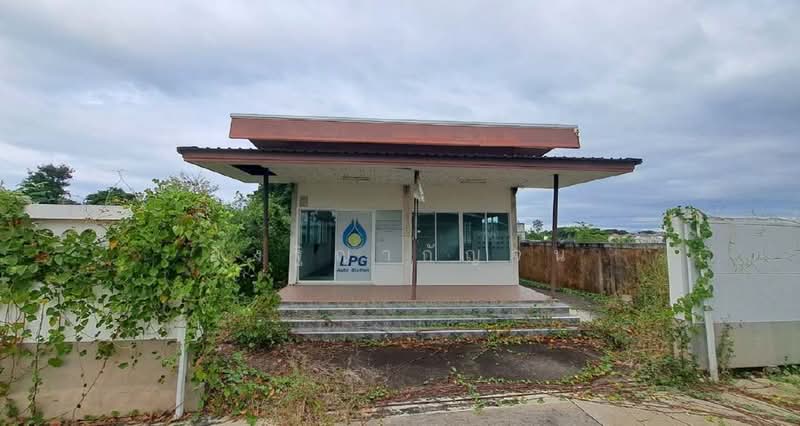 198 ตำบลยางเนิ้ง อำเภอสารภี เชียงใหม่, Chiang Mai, Yand Nueng, Saraphi, Chiang Mai, , 3,551 sqm, Business For Sale, by อิงฐิญากัญจน์, 500360881 - DDproperty.com