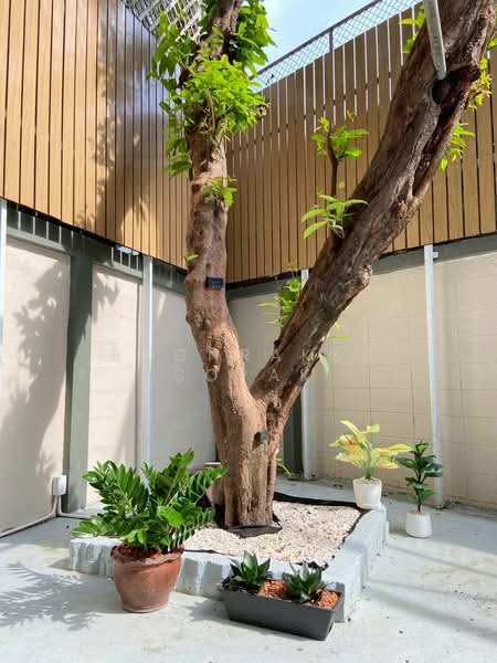 6-BR Townhouse, Bangkok, Phra Kanong Nua, Watthana, Bangkok, 6 Bedrooms, 450 sqm, Townhouse For Rent, by Boonraksa Sopak, 500360884 - DDproperty.com