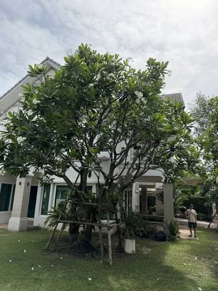 Laddarom Chaiyaphruk-Chaengwattana, Nonthaburi, Chaiyapruek Road, Khlong Phra Udom, Pak Kret, Nonthaburi, 5 Bedrooms, 350 sqm, Single Detached House For Sale, by NR AGENT, 500361140 - DDproperty.com