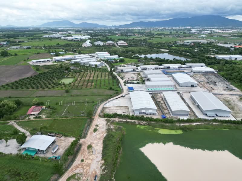 หนองบอนแดง, ชลบุรี, หนองบอนแดง, บ้านบึง, ชลบุรี, 32,660 ตร.ม., ที่ดิน ขาย, โดย ภัสสร์ปภา นิลคช, 500361155 - DDproperty.com