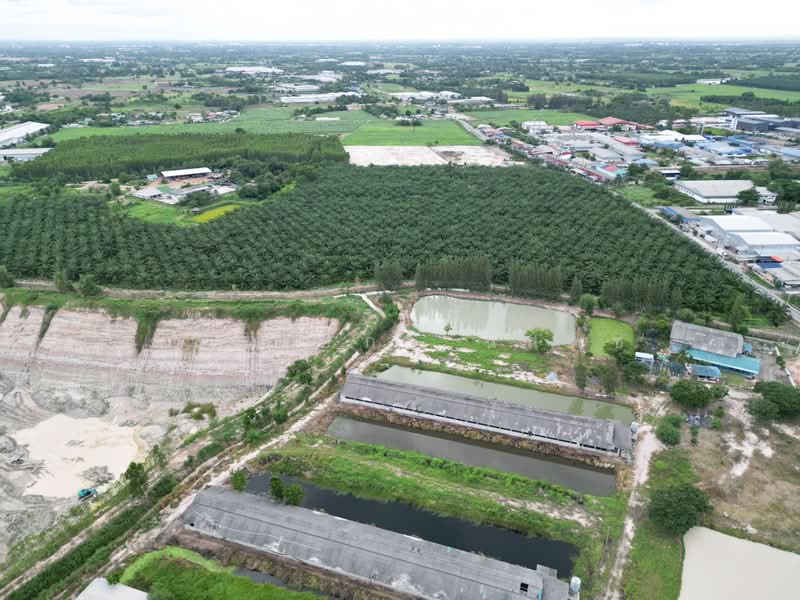 หนองบอนแดง, ชลบุรี, หนองบอนแดง, บ้านบึง, ชลบุรี, 32,660 ตร.ม., ที่ดิน ขาย, โดย ภัสสร์ปภา นิลคช, 500361155 - DDproperty.com