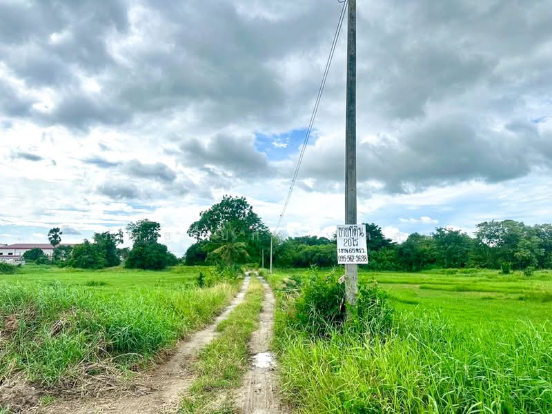 หนองบอนแดง, ชลบุรี, หนองบอนแดง, บ้านบึง, ชลบุรี, 32,660 ตร.ม., ที่ดิน ขาย, โดย ภัสสร์ปภา นิลคช, 500361155 - DDproperty.com