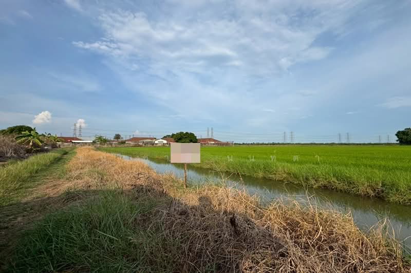 ที่ดินเปล่า เนื้อที่ 7 ไร่ ซอยติดหมู่บ้านเลอมาน ใกล้สนง.เทศบาลตำบลธัญบุรี ถนนเลียบคลอง 7, Pathum Thani, Lam Luk Ka, Pathum Thani, , 11,200 sqm, Land For Sale, by ชนะชาติ นนท์ตา, 500361193 - DDproperty.com