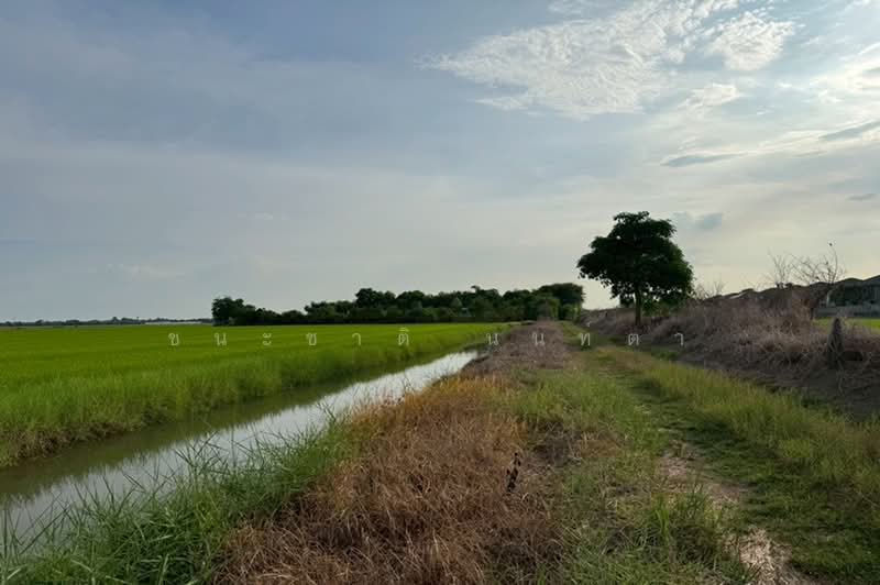 ที่ดินเปล่า เนื้อที่ 7 ไร่ ซอยติดหมู่บ้านเลอมาน ใกล้สนง.เทศบาลตำบลธัญบุรี ถนนเลียบคลอง 7, Pathum Thani, Lam Luk Ka, Pathum Thani, , 11,200 sqm, Land For Sale, by ชนะชาติ นนท์ตา, 500361193 - DDproperty.com