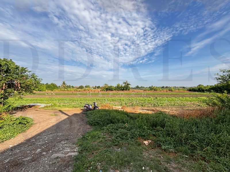 ที่ดินใกล้แยกปทุมวิไล, Pathum Thani, กรุงเทพฯ-ปทุมธานี, Bang Luang, Muang Pathum Thani, Pathum Thani, , 12,624 sqm, Land For Sale, by Shaporn Supvilaiphisan, 500361204 - DDproperty.com