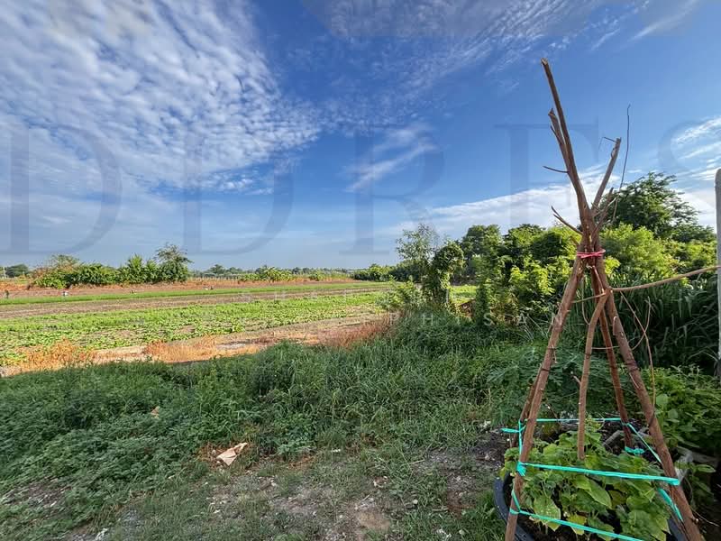 ที่ดินใกล้แยกปทุมวิไล, Pathum Thani, กรุงเทพฯ-ปทุมธานี, Bang Luang, Muang Pathum Thani, Pathum Thani, , 12,624 sqm, Land For Sale, by Shaporn Supvilaiphisan, 500361204 - DDproperty.com