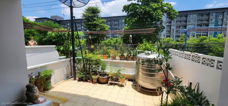 Sri Sukhothai Huamark, Bangkok, รามคำแหง 36/1, Hua Mak, Bang Kapi, Bangkok, 5 Bedrooms, 357 sqm, Townhouse For Sale, by ภูสยาม ธัญปริภัทร์, 500361264 - DDproperty.com