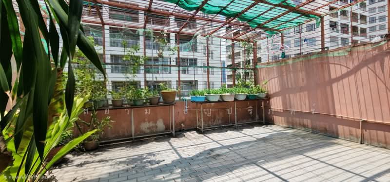 Sri Sukhothai Huamark, Bangkok, รามคำแหง 36/1, Hua Mak, Bang Kapi, Bangkok, 5 Bedrooms, 357 sqm, Townhouse For Sale, by ภูสยาม ธัญปริภัทร์, 500361264 - DDproperty.com