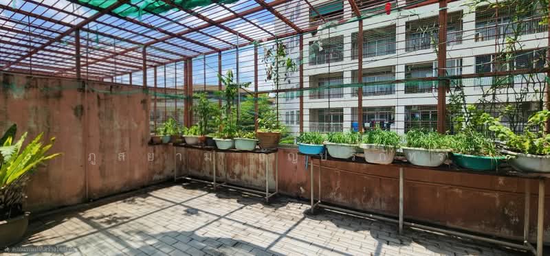 Sri Sukhothai Huamark, Bangkok, รามคำแหง 36/1, Hua Mak, Bang Kapi, Bangkok, 5 Bedrooms, 357 sqm, Townhouse For Sale, by ภูสยาม ธัญปริภัทร์, 500361264 - DDproperty.com